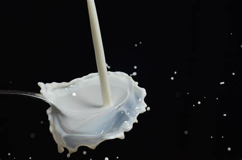 densidade do leite-1